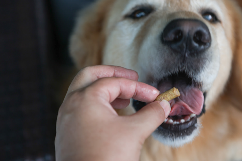 寵物凍乾主食、凍乾零食|Bailey+Co倍立天然犬貓優質凍乾乾糧、優質凍乾零食、犬用凍乾關節保養粉。紐西蘭原裝進口(草飼羊肉、草飼牛肉、草飼羊肝、帝王鮭魚、綠唇貽貝、藍鱈魚、鳳尾魚) - 第27張圖 寵物凍乾主食、凍乾零食|Bailey+Co倍立天然犬貓優質凍乾乾糧、優質凍乾零食、犬用凍乾關節保養粉。紐西蘭原裝進口(草飼羊肉、草飼牛肉、草飼羊肝、帝王鮭魚、綠唇貽貝、藍鱈魚、鳳尾魚)