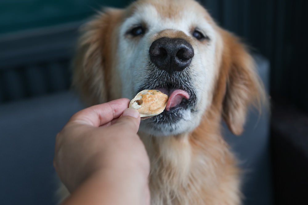寵物凍乾主食、凍乾零食|Bailey+Co倍立天然犬貓優質凍乾乾糧、優質凍乾零食、犬用凍乾關節保養粉。紐西蘭原裝進口(草飼羊肉、草飼牛肉、草飼羊肝、帝王鮭魚、綠唇貽貝、藍鱈魚、鳳尾魚) - 第29張圖 寵物凍乾主食、凍乾零食|Bailey+Co倍立天然犬貓優質凍乾乾糧、優質凍乾零食、犬用凍乾關節保養粉。紐西蘭原裝進口(草飼羊肉、草飼牛肉、草飼羊肝、帝王鮭魚、綠唇貽貝、藍鱈魚、鳳尾魚)