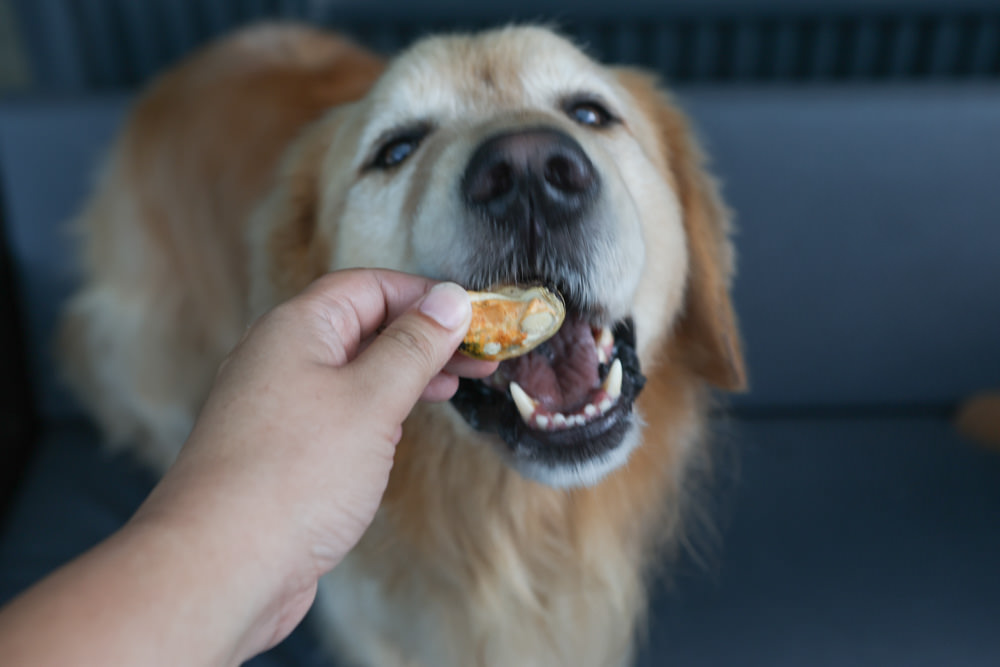 寵物凍乾主食、凍乾零食|Bailey+Co倍立天然犬貓優質凍乾乾糧、優質凍乾零食、犬用凍乾關節保養粉。紐西蘭原裝進口(草飼羊肉、草飼牛肉、草飼羊肝、帝王鮭魚、綠唇貽貝、藍鱈魚、鳳尾魚) - 第30張圖 寵物凍乾主食、凍乾零食|Bailey+Co倍立天然犬貓優質凍乾乾糧、優質凍乾零食、犬用凍乾關節保養粉。紐西蘭原裝進口(草飼羊肉、草飼牛肉、草飼羊肝、帝王鮭魚、綠唇貽貝、藍鱈魚、鳳尾魚)