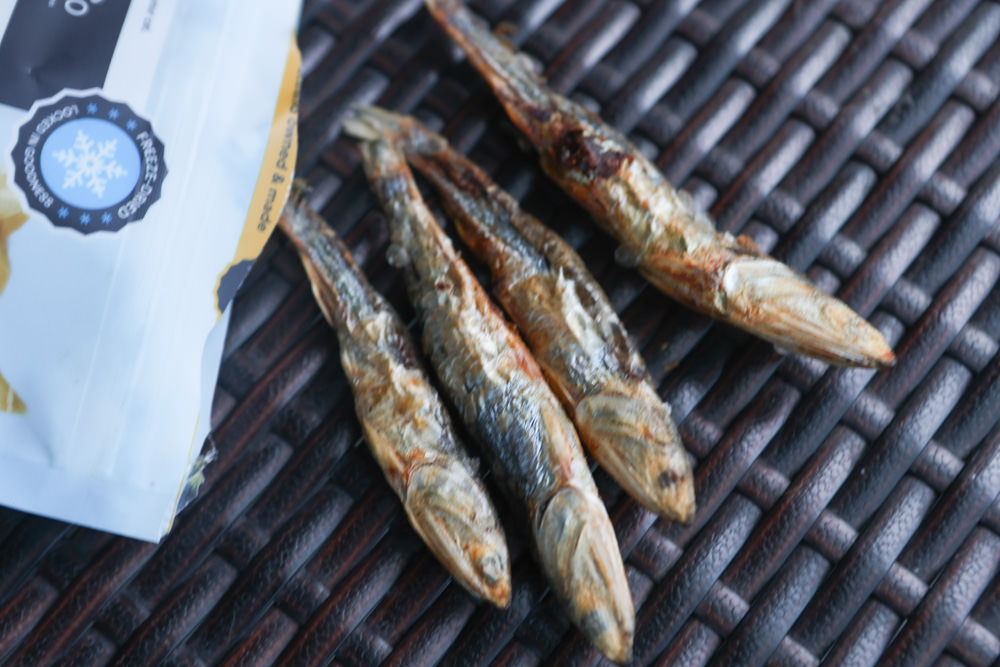 寵物凍乾主食、凍乾零食|Bailey+Co倍立天然犬貓優質凍乾乾糧、優質凍乾零食、犬用凍乾關節保養粉。紐西蘭原裝進口(草飼羊肉、草飼牛肉、草飼羊肝、帝王鮭魚、綠唇貽貝、藍鱈魚、鳳尾魚) - 第32張圖 寵物凍乾主食、凍乾零食|Bailey+Co倍立天然犬貓優質凍乾乾糧、優質凍乾零食、犬用凍乾關節保養粉。紐西蘭原裝進口(草飼羊肉、草飼牛肉、草飼羊肝、帝王鮭魚、綠唇貽貝、藍鱈魚、鳳尾魚)