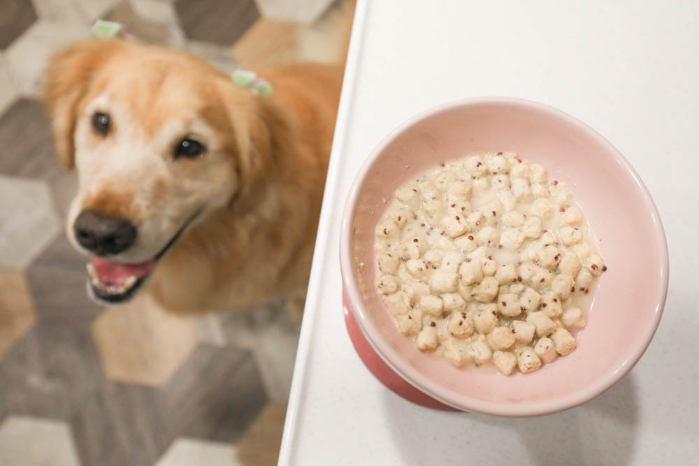 寵物凍乾推薦｜優格寵物食譜TOMA-PRO鮮肉佐餐凍乾。依照寵物身體機能設計、新鮮頂級食材、均衡營養、餐餐美味又健康