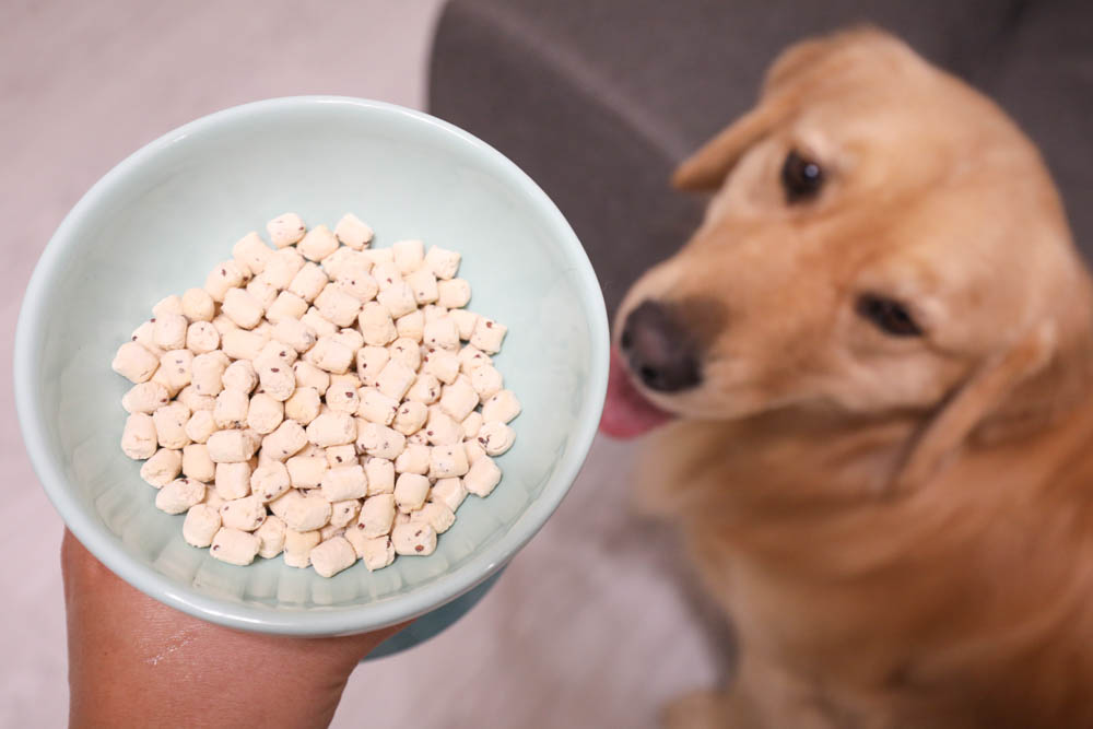 寵物凍乾推薦｜優格寵物食譜TOMA-PRO鮮肉佐餐凍乾。依照寵物身體機能設計、新鮮頂級食材、均衡營養、餐餐美味又健康