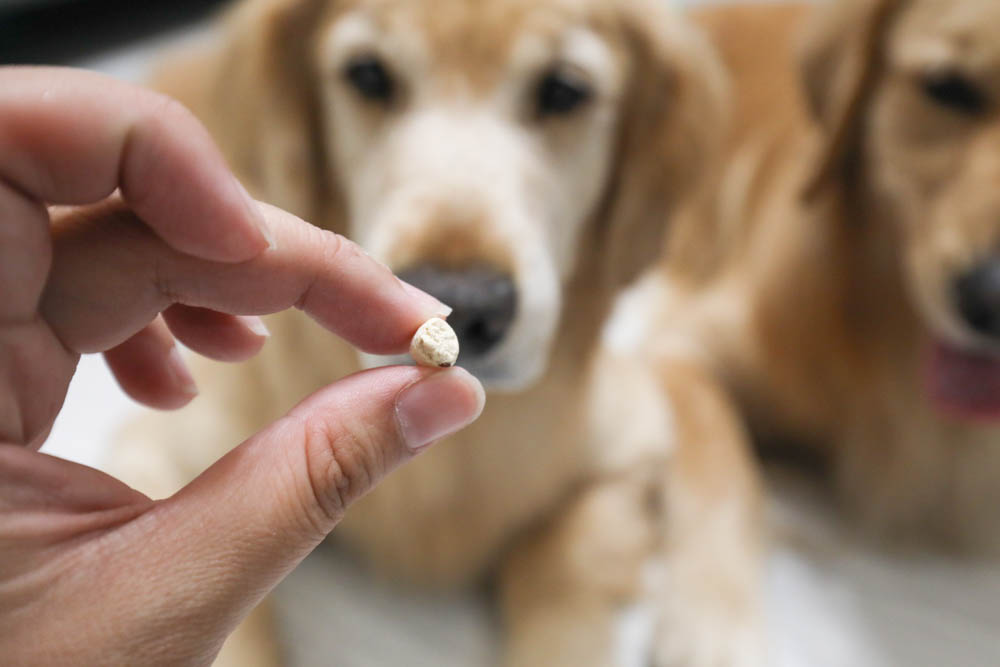 寵物凍乾推薦｜優格寵物食譜TOMA-PRO鮮肉佐餐凍乾。依照寵物身體機能設計、新鮮頂級食材、均衡營養、餐餐美味又健康