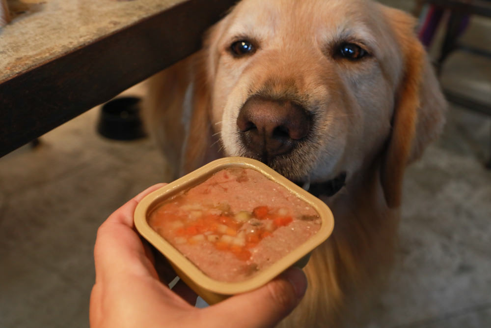 主食餐盒推薦：TOMA-PRO優格吃貨拼盤。新鮮高肉量、豐富食材看得見、天然營養美味