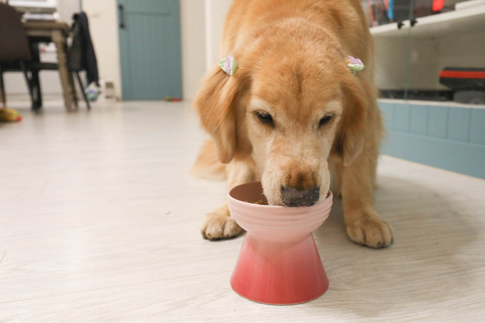 寵物凍乾推薦｜優格寵物食譜TOMA-PRO鮮肉佐餐凍乾。依照寵物身體機能設計、新鮮頂級食材、均衡營養、餐餐美味又健康
