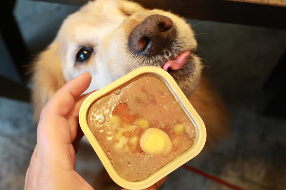 主食餐盒推薦：TOMA-PRO優格吃貨拼盤。新鮮高肉量、豐富食材看得見、天然營養美味