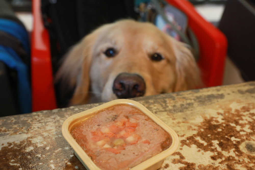 主食餐盒推薦：TOMA-PRO優格吃貨拼盤。新鮮高肉量、豐富食材看得見、天然營養美味