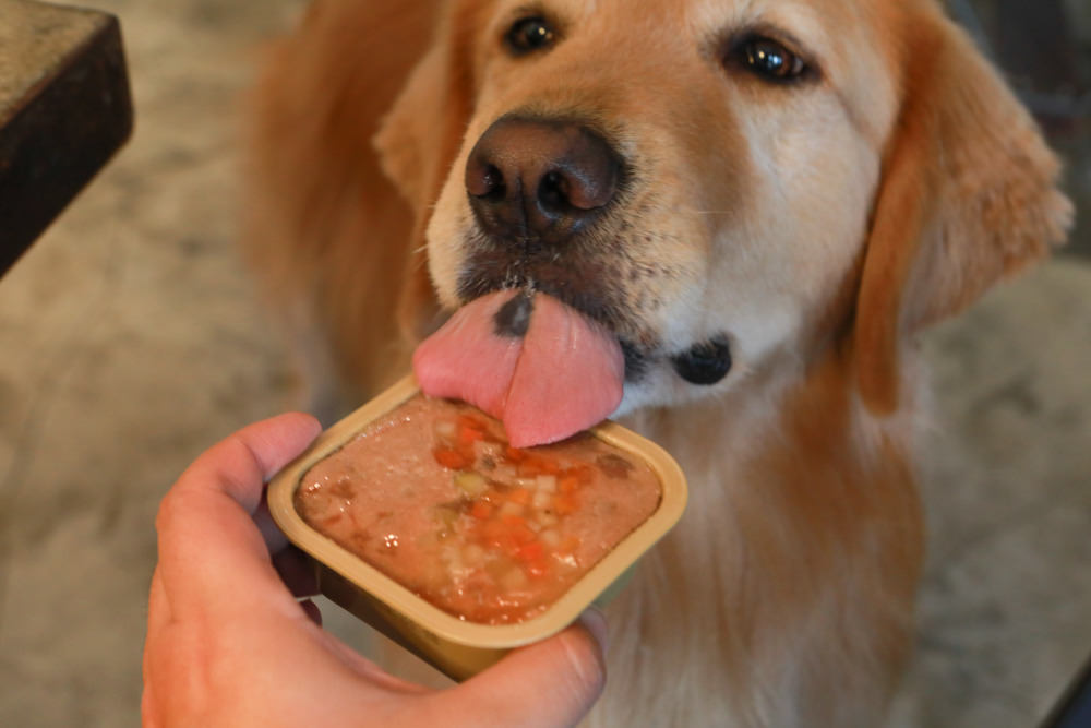 主食餐盒推薦：TOMA-PRO優格吃貨拼盤。新鮮高肉量、豐富食材看得見、天然營養美味