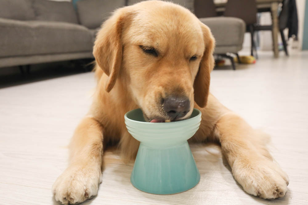 寵物凍乾推薦｜優格寵物食譜TOMA-PRO鮮肉佐餐凍乾。依照寵物身體機能設計、新鮮頂級食材、均衡營養、餐餐美味又健康