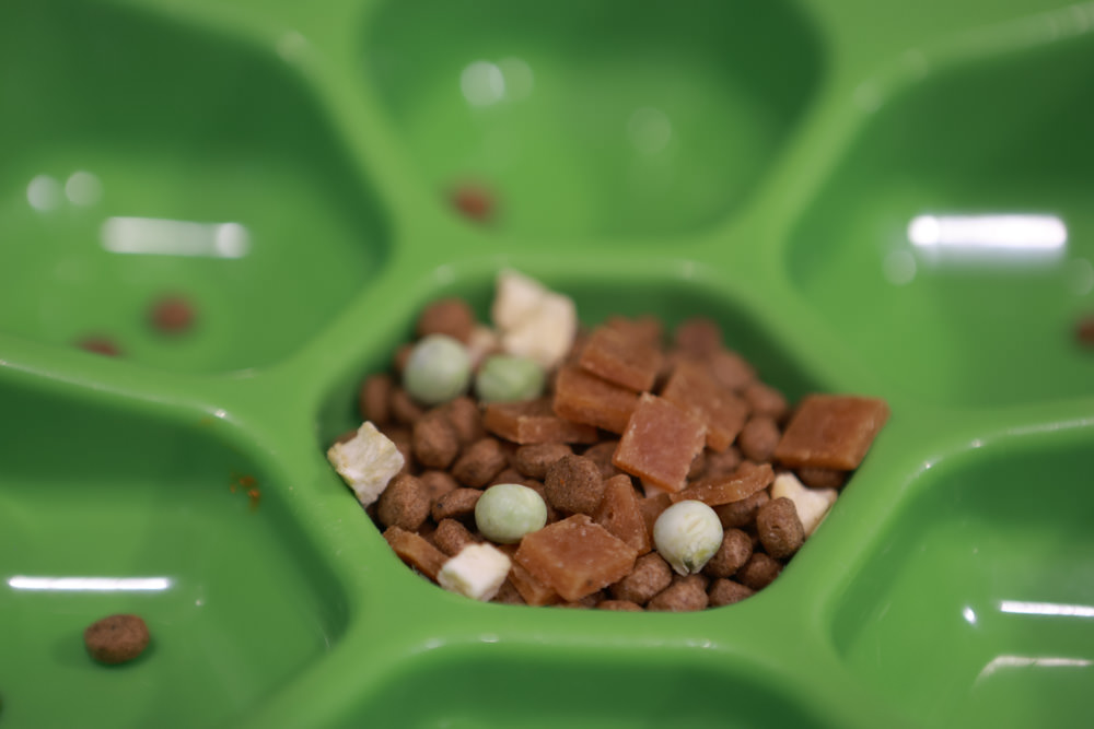 優格寵物食譜Toma-Pro|優格吃貨拼盤多拼糧。添加益生菌的天然乾乾、7% 慢烤雞肉乾、蘋果凍乾、豌豆凍乾、飲食豐富多樣食材 - 第14張圖 優格寵物食譜Toma-Pro|優格吃貨拼盤多拼糧。添加益生菌的天然乾乾、7% 慢烤雞肉乾、蘋果凍乾、豌豆凍乾、飲食豐富多樣食材