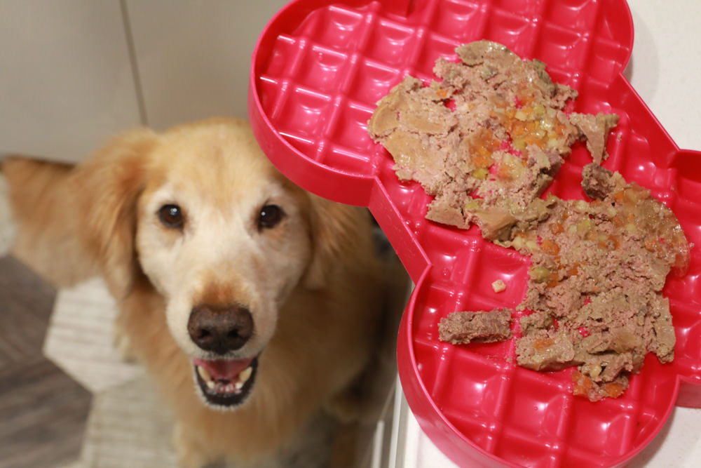 主食餐盒推薦：TOMA-PRO優格吃貨拼盤。新鮮高肉量、豐富食材看得見、天然營養美味