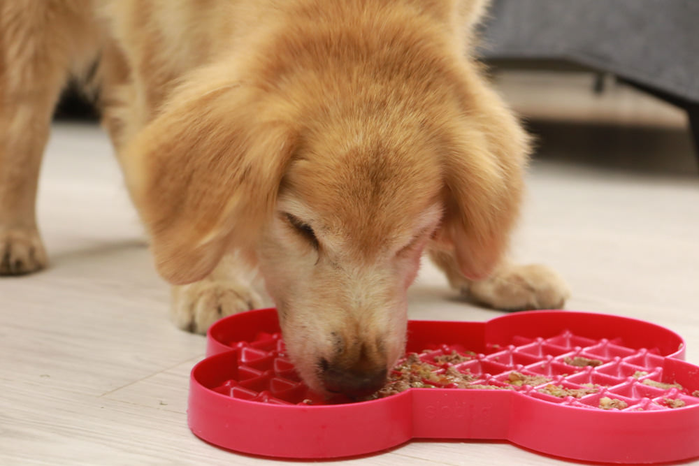 主食餐盒推薦：TOMA-PRO優格吃貨拼盤。新鮮高肉量、豐富食材看得見、天然營養美味