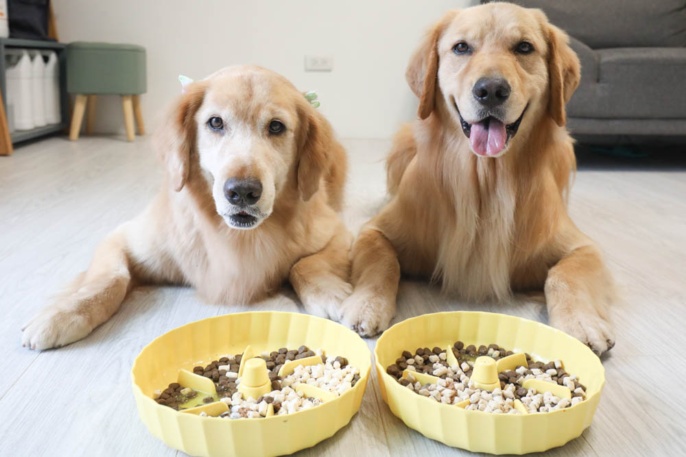 寵物凍乾推薦｜優格寵物食譜TOMA-PRO鮮肉佐餐凍乾。依照寵物身體機能設計、新鮮頂級食材、均衡營養、餐餐美味又健康