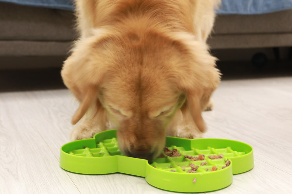 主食餐盒推薦：TOMA-PRO優格吃貨拼盤。新鮮高肉量、豐富食材看得見、天然營養美味