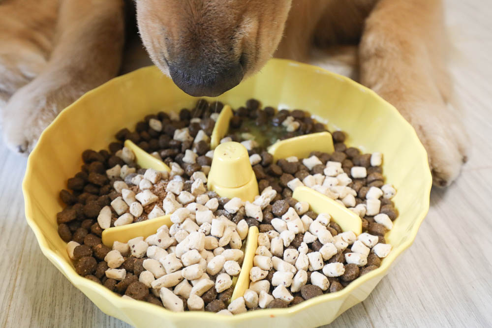寵物凍乾推薦｜優格寵物食譜TOMA-PRO鮮肉佐餐凍乾。依照寵物身體機能設計、新鮮頂級食材、均衡營養、餐餐美味又健康