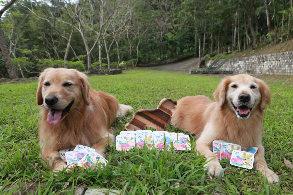 主食餐盒推薦：TOMA-PRO優格吃貨拼盤。新鮮高肉量、豐富食材看得見、天然營養美味