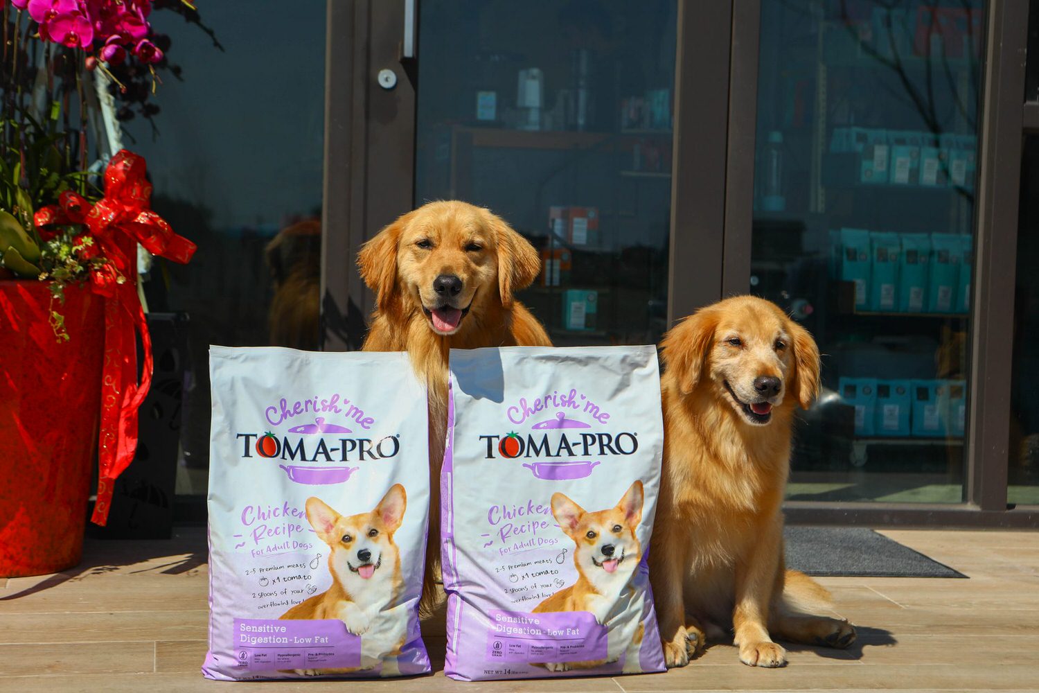 寵物飼料推薦｜優格寵物食譜TOMA-PRO成犬腸胃低脂配方。零穀類營養均衡、益生菌添加、天然低脂無負擔、健康美味