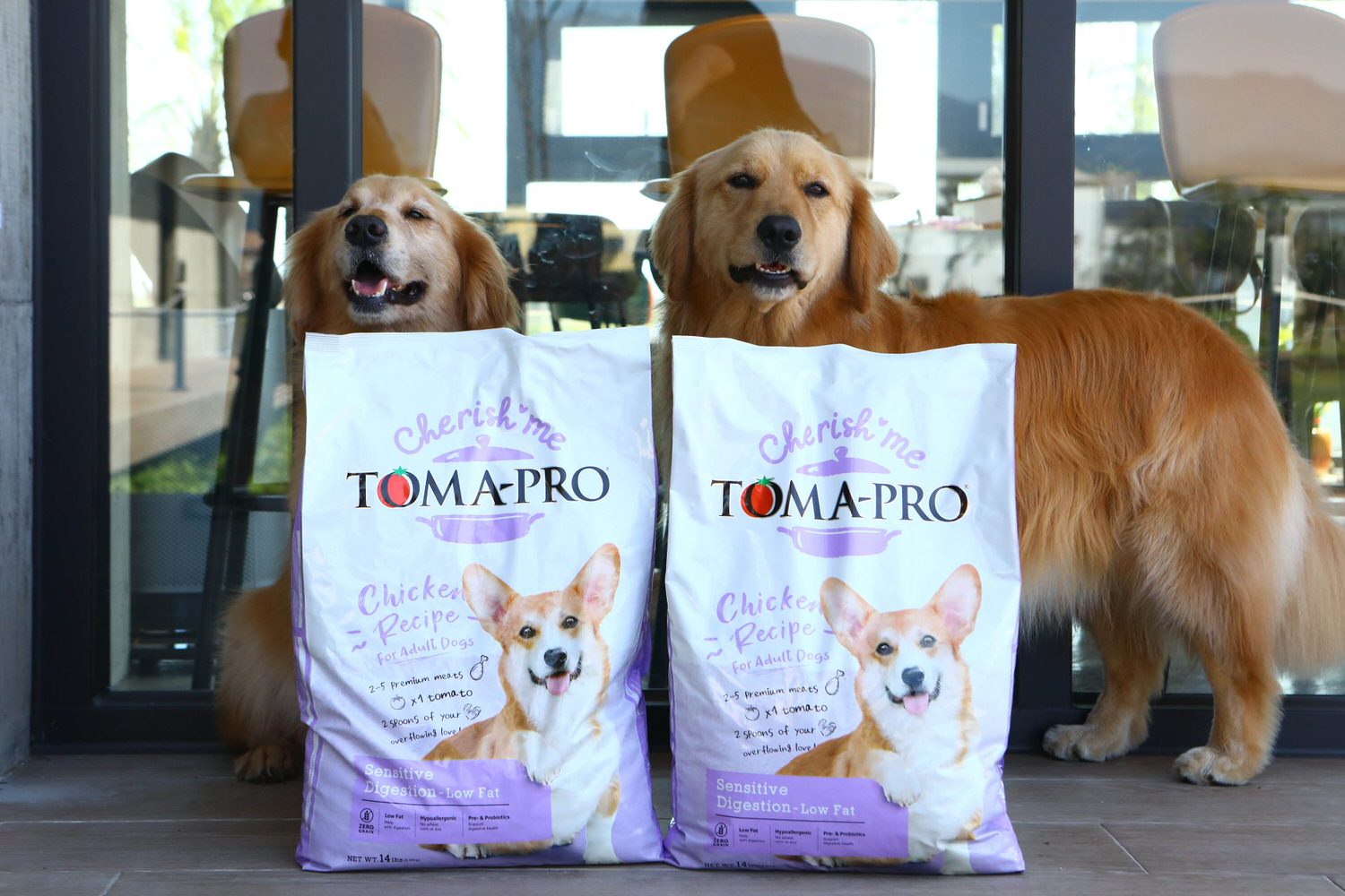 寵物飼料推薦｜優格寵物食譜TOMA-PRO成犬腸胃低脂配方。零穀類營養均衡、益生菌添加、天然低脂無負擔、健康美味