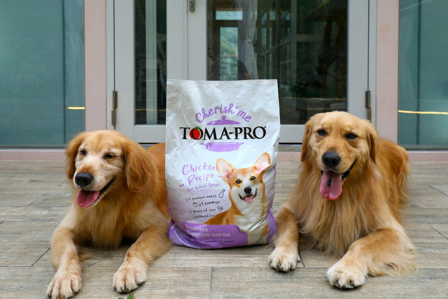 寵物飼料推薦｜優格寵物食譜TOMA-PRO成犬腸胃低脂配方。零穀類營養均衡、益生菌添加、天然低脂無負擔、健康美味