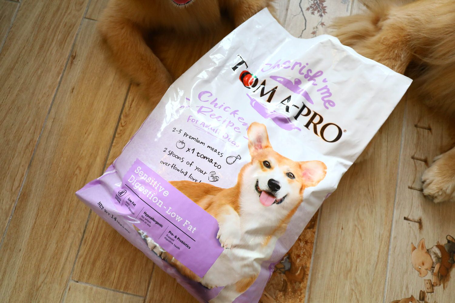 寵物飼料推薦｜優格寵物食譜TOMA-PRO成犬腸胃低脂配方。零穀類營養均衡、益生菌添加、天然低脂無負擔、健康美味