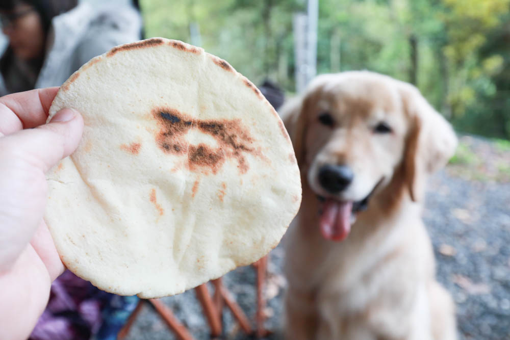 南投懶人豪華露營｜入樹二村嬉皮國度。一泊二食、寵物友善帳篷、異國風情主廚料理、洞穴帳、雙樓帳