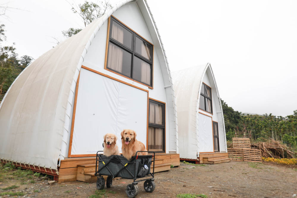 南投懶人豪華露營｜入樹二村嬉皮國度。一泊二食、寵物友善帳篷、異國風情主廚料理、洞穴帳、雙樓帳
