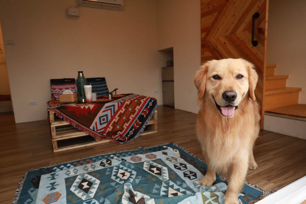 南投懶人豪華露營｜入樹二村嬉皮國度。一泊二食、寵物友善帳篷、異國風情主廚料理、洞穴帳、雙樓帳