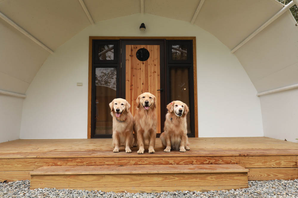 南投懶人豪華露營｜入樹二村嬉皮國度。一泊二食、寵物友善帳篷、異國風情主廚料理、洞穴帳、雙樓帳