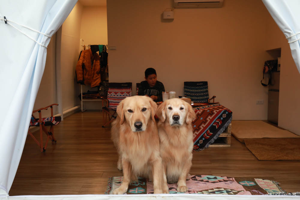 南投懶人豪華露營｜入樹二村嬉皮國度。一泊二食、寵物友善帳篷、異國風情主廚料理、洞穴帳、雙樓帳