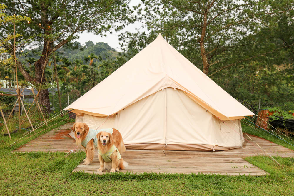 南投懶人豪華露營|入樹村露營區。一泊二食、寵物友善帳篷、免裝備露營、星空電影院、手作課程 - 第15張圖 南投懶人豪華露營|入樹村露營區。一泊二食、寵物友善帳篷、免裝備露營、星空電影院、手作課程