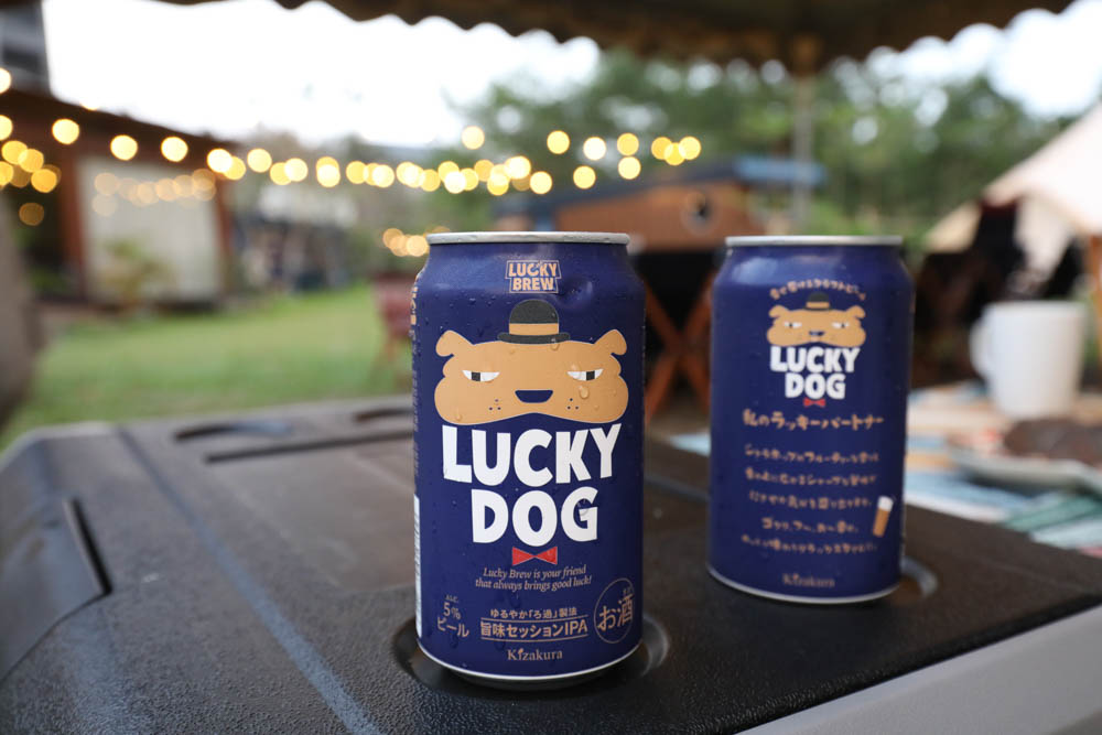 露營野餐裝備推薦｜SANSUI山水行動冰箱45L。LG壓縮機、家用車用、雙槽雙溫控行動冰箱、大空間大容量、輕鬆方便移動、露營旅行超實用！