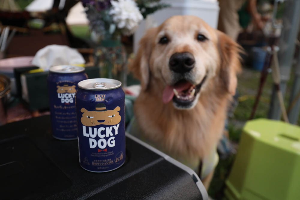 露營野餐裝備推薦｜SANSUI山水行動冰箱45L。LG壓縮機、家用車用、雙槽雙溫控行動冰箱、大空間大容量、輕鬆方便移動、露營旅行超實用！