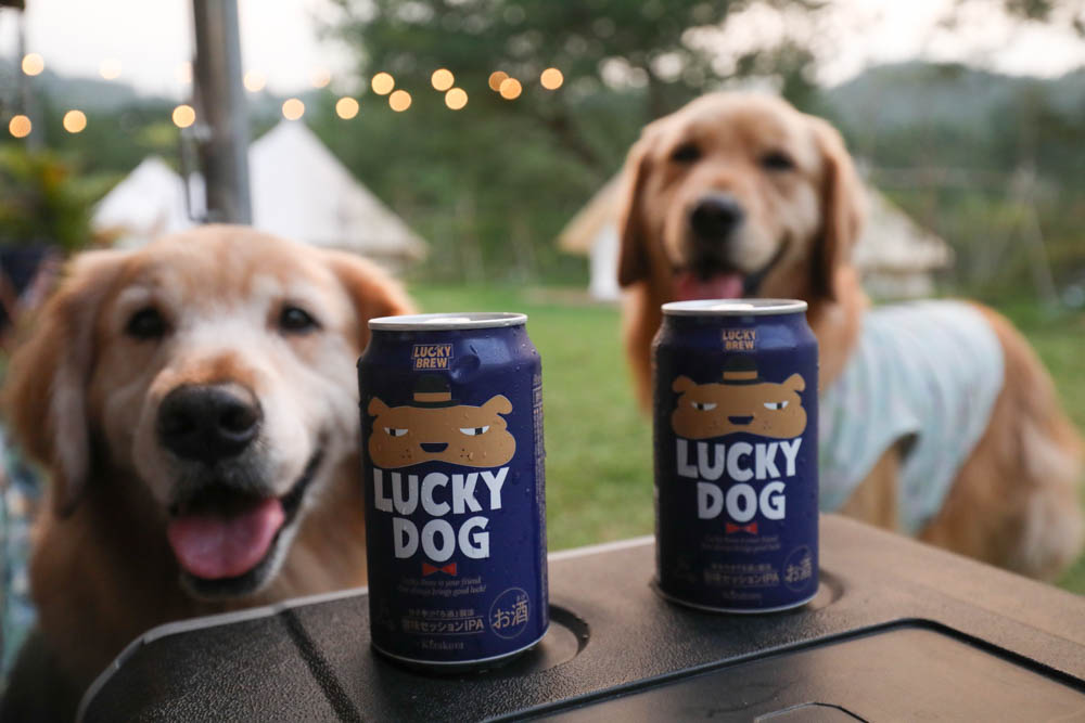 南投懶人豪華露營|入樹村露營區。一泊二食、寵物友善帳篷、免裝備露營、星空電影院、手作課程 - 第26張圖 南投懶人豪華露營|入樹村露營區。一泊二食、寵物友善帳篷、免裝備露營、星空電影院、手作課程