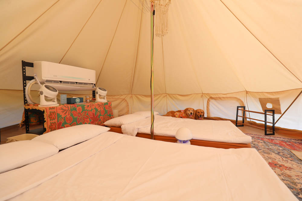 南投懶人豪華露營|入樹村露營區。一泊二食、寵物友善帳篷、免裝備露營、星空電影院、手作課程 - 第18張圖 南投懶人豪華露營|入樹村露營區。一泊二食、寵物友善帳篷、免裝備露營、星空電影院、手作課程