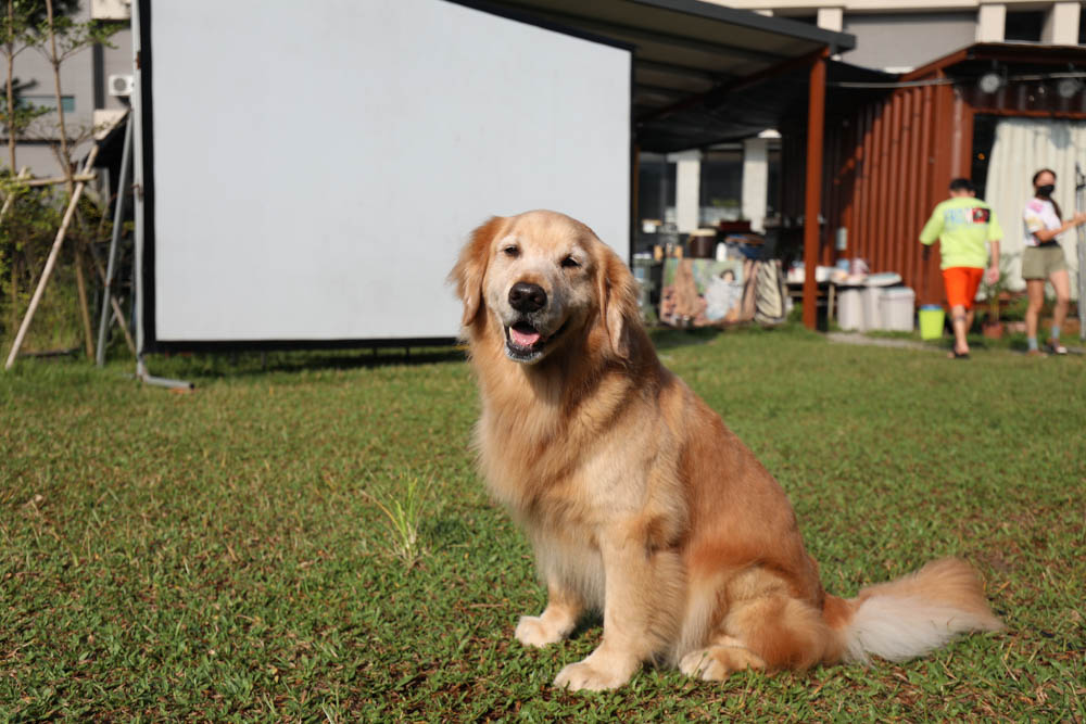 南投懶人豪華露營|入樹村露營區。一泊二食、寵物友善帳篷、免裝備露營、星空電影院、手作課程 - 第38張圖 南投懶人豪華露營|入樹村露營區。一泊二食、寵物友善帳篷、免裝備露營、星空電影院、手作課程