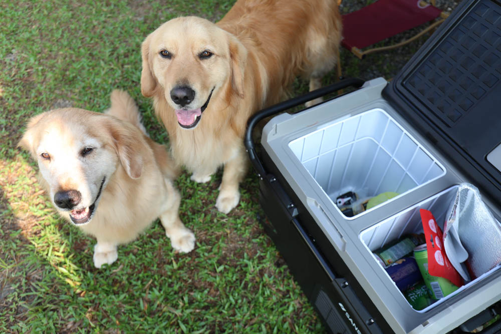露營野餐裝備推薦｜SANSUI山水行動冰箱45L。LG壓縮機、家用車用、雙槽雙溫控行動冰箱、大空間大容量、輕鬆方便移動、露營旅行超實用！