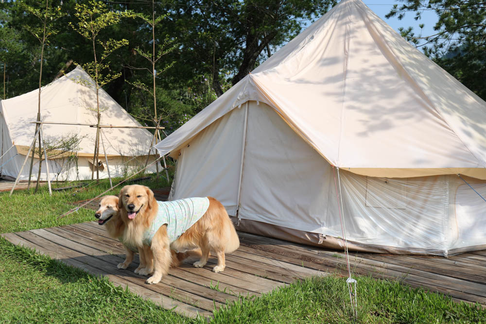南投懶人豪華露營|入樹村露營區。一泊二食、寵物友善帳篷、免裝備露營、星空電影院、手作課程 - 第42張圖 南投懶人豪華露營|入樹村露營區。一泊二食、寵物友善帳篷、免裝備露營、星空電影院、手作課程