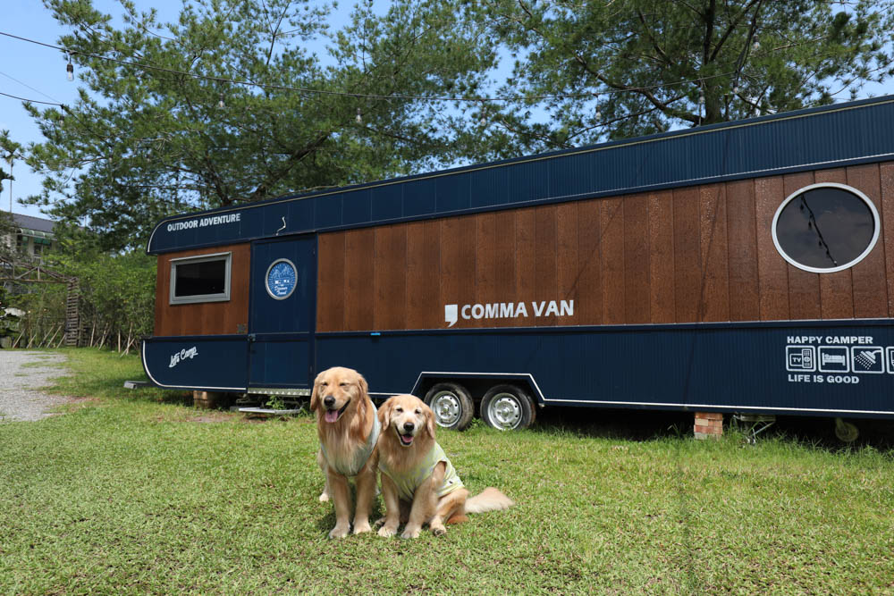 南投懶人豪華露營|入樹村露營區。一泊二食、寵物友善帳篷、免裝備露營、星空電影院、手作課程 - 第2張圖 南投懶人豪華露營|入樹村露營區。一泊二食、寵物友善帳篷、免裝備露營、星空電影院、手作課程
