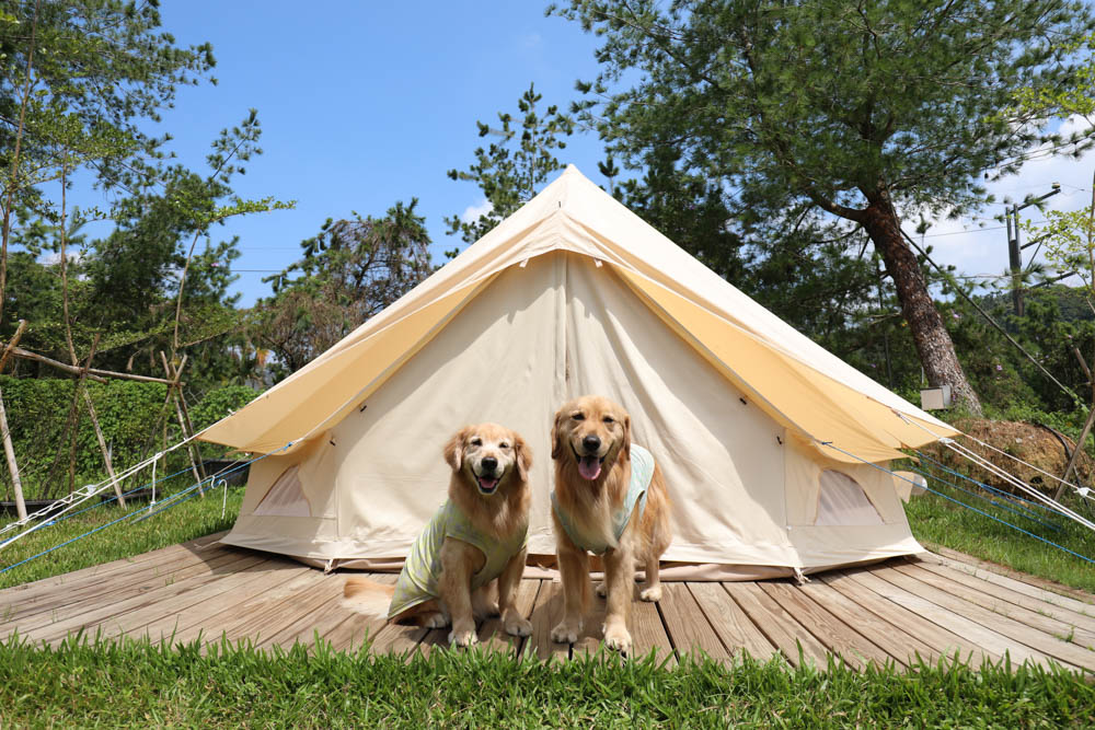 南投懶人豪華露營|入樹村露營區。一泊二食、寵物友善帳篷、免裝備露營、星空電影院、手作課程 - 第43張圖 南投懶人豪華露營|入樹村露營區。一泊二食、寵物友善帳篷、免裝備露營、星空電影院、手作課程