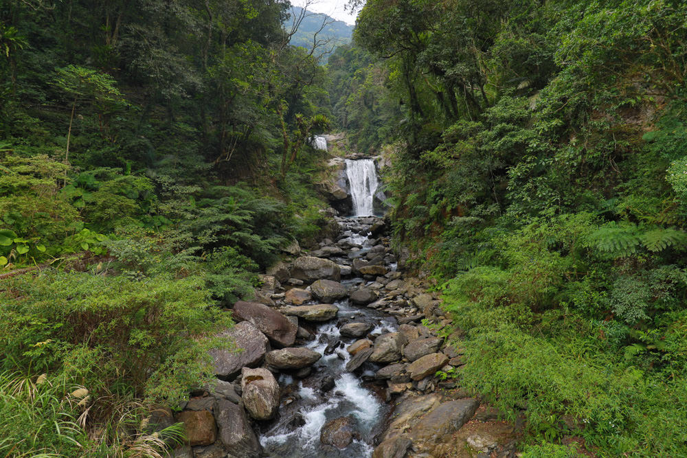 新北烏來景點｜內洞國家森林遊樂區。寵物友善景點、絕美峽谷秀麗瀑布森林浴！！