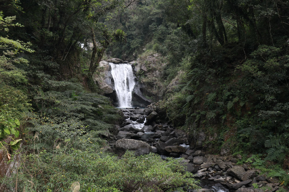 新北烏來景點｜內洞國家森林遊樂區。寵物友善景點、絕美峽谷秀麗瀑布森林浴！！