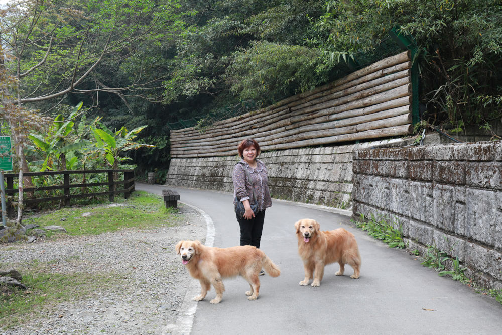 新北烏來景點｜內洞國家森林遊樂區。寵物友善景點、絕美峽谷秀麗瀑布森林浴！！