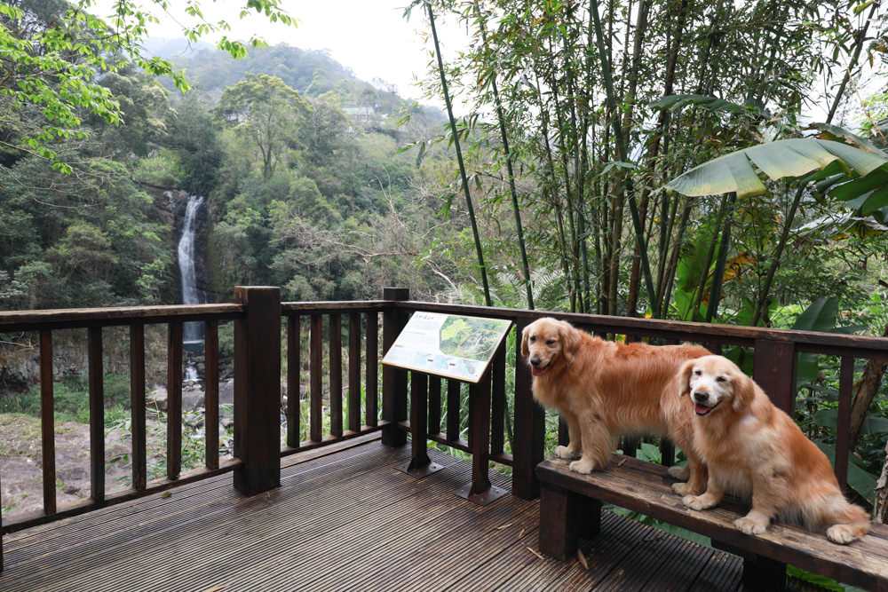 新北烏來景點｜內洞國家森林遊樂區。寵物友善景點、絕美峽谷秀麗瀑布森林浴！！
