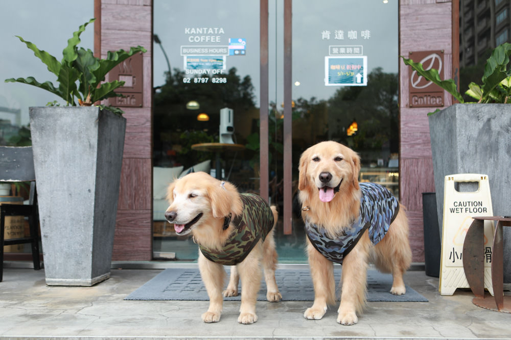 台北內湖美食｜肯達咖啡Kantata Coffee。寵物友善餐廳、早午餐、內湖科學園區、捷運西湖站咖啡廳