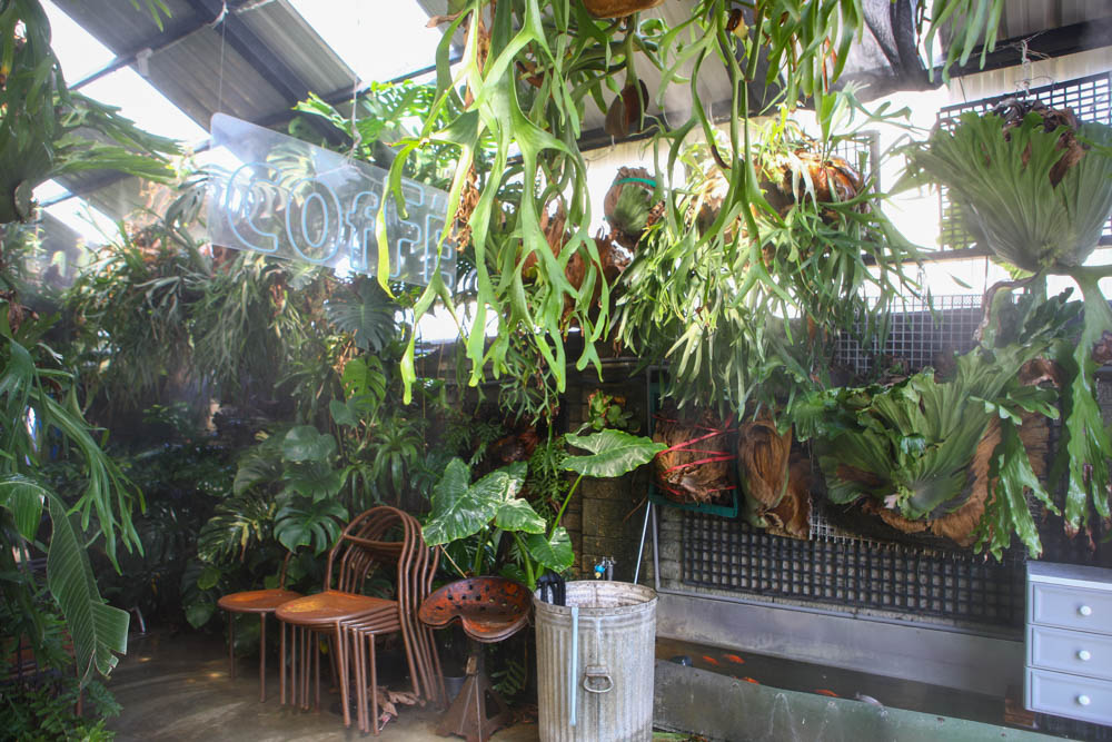 新北三芝淺水灣美食｜公雞咖啡Le coq 。北海岸無敵海景咖啡廳、寵物友善餐廳