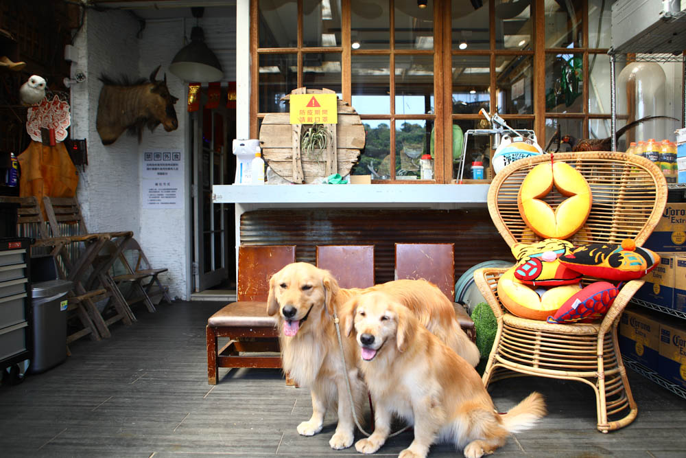 新北三芝淺水灣美食｜公雞咖啡Le coq 。北海岸無敵海景咖啡廳、寵物友善餐廳