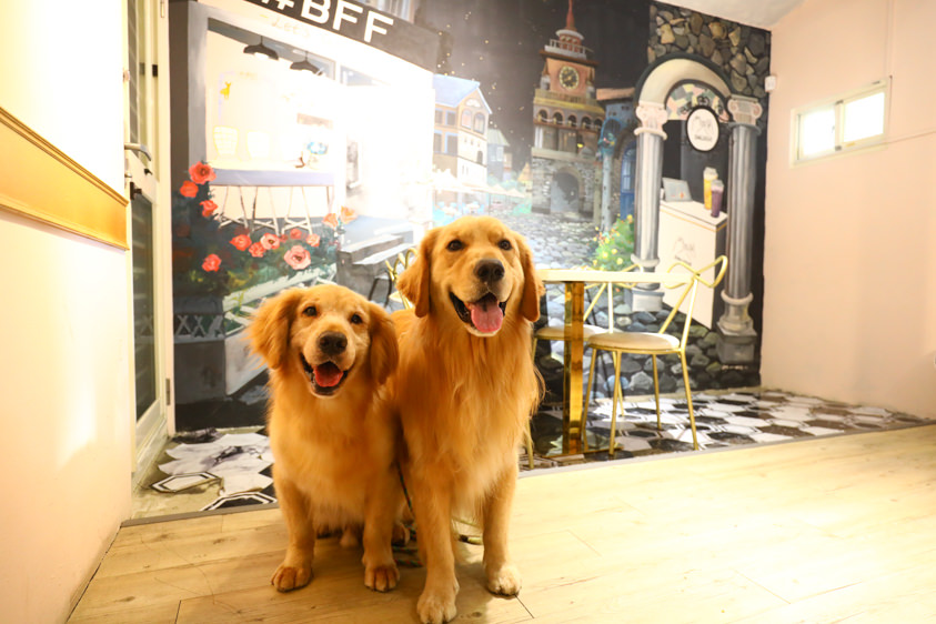 台北公館美食｜BFF Gossip Brunch 義式餐廳、網美咖啡廳、視覺系早午餐、寵物友善餐廳