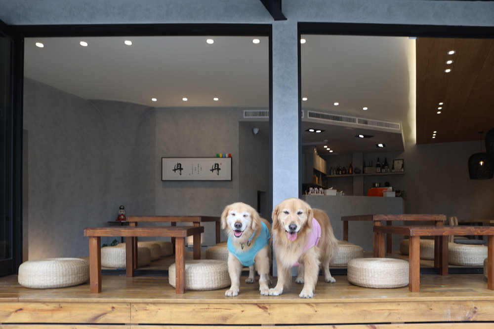 花蓮美食｜冉冉 Yukkuri。串揚天婦羅炸串、烏龍麵燒餃子、日式刨冰、花蓮宵夜、居酒屋、寵物友善餐廳