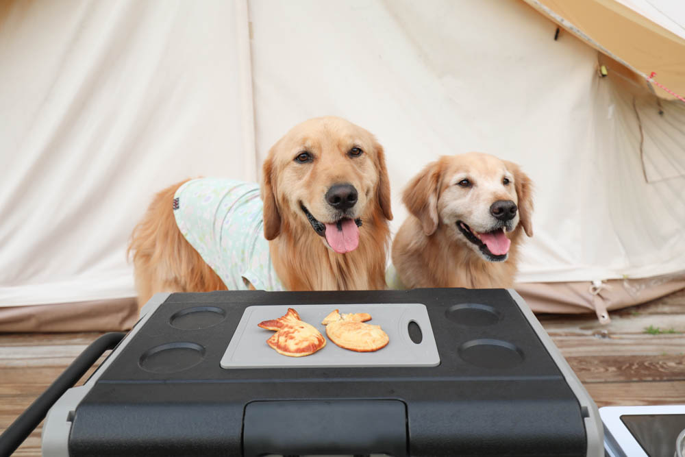 露營野餐裝備推薦｜SANSUI山水行動冰箱45L。LG壓縮機、家用車用、雙槽雙溫控行動冰箱、大空間大容量、輕鬆方便移動、露營旅行超實用！