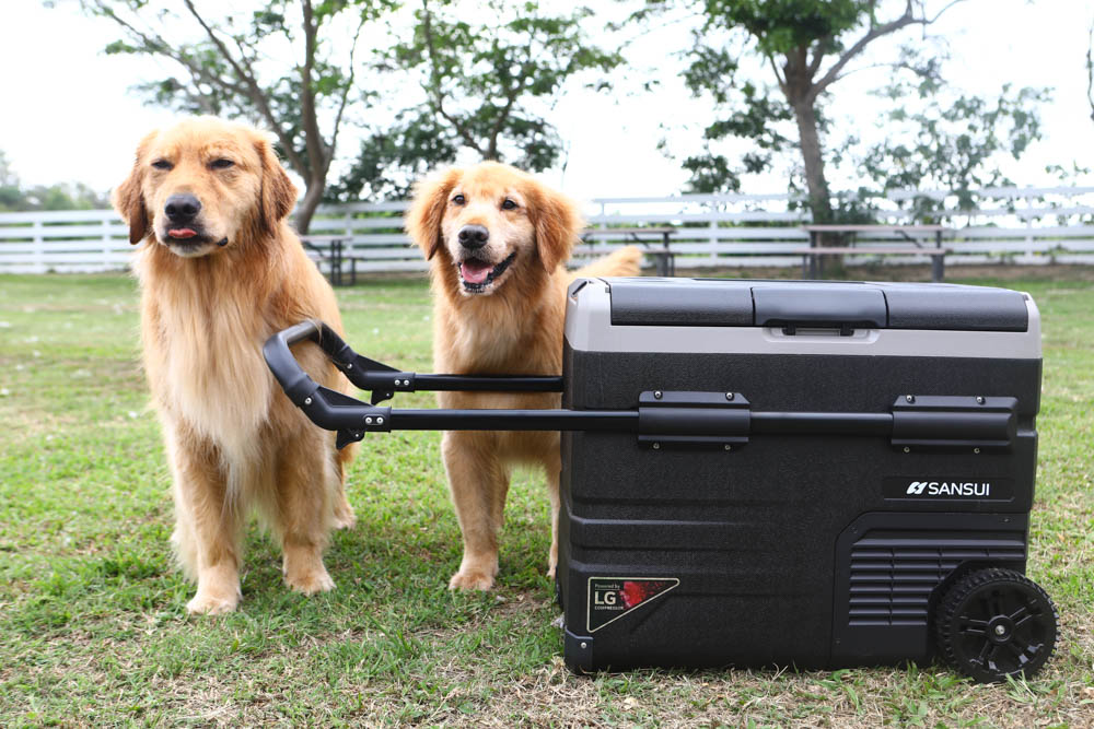 露營野餐裝備推薦｜SANSUI山水行動冰箱45L。LG壓縮機、家用車用、雙槽雙溫控行動冰箱、大空間大容量、輕鬆方便移動、露營旅行超實用！